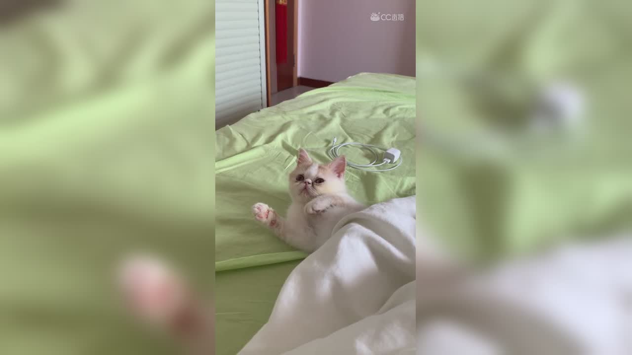 视频封面