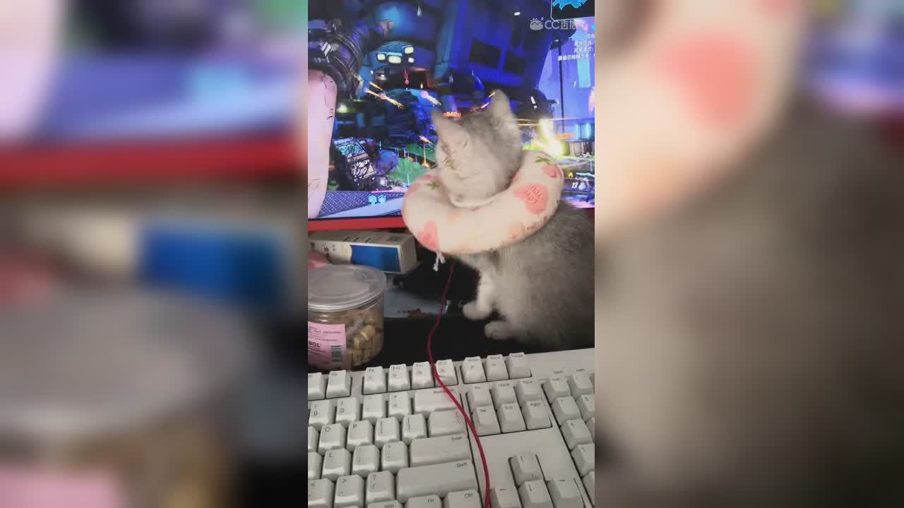 视频封面
