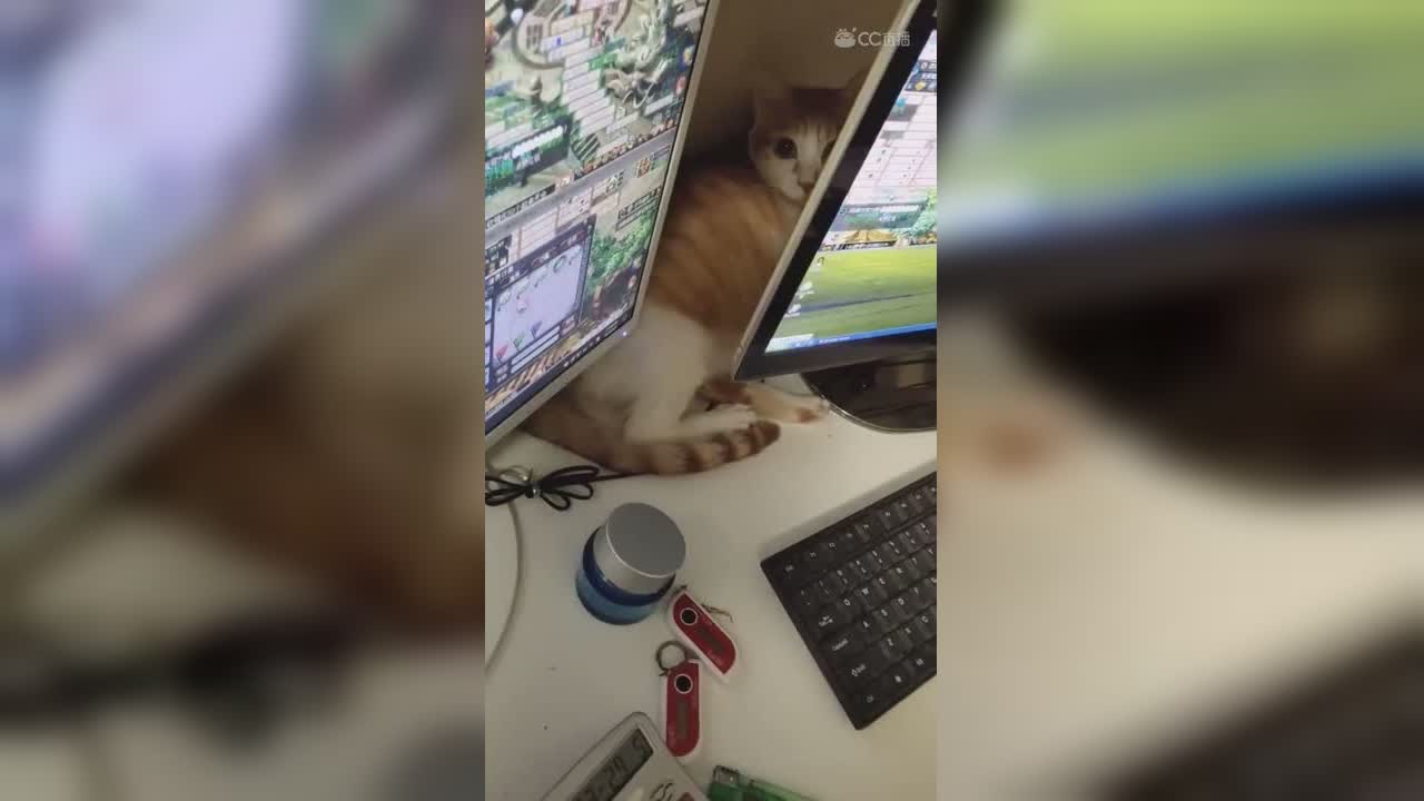 视频封面