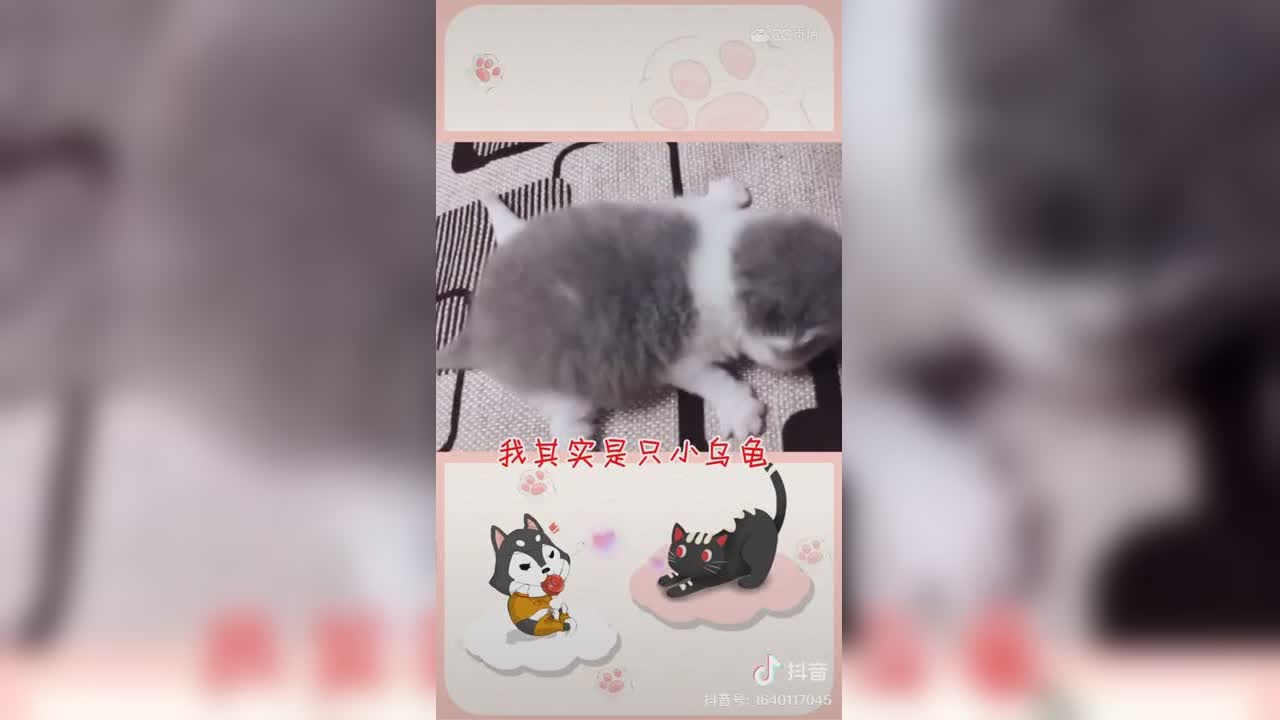 视频封面