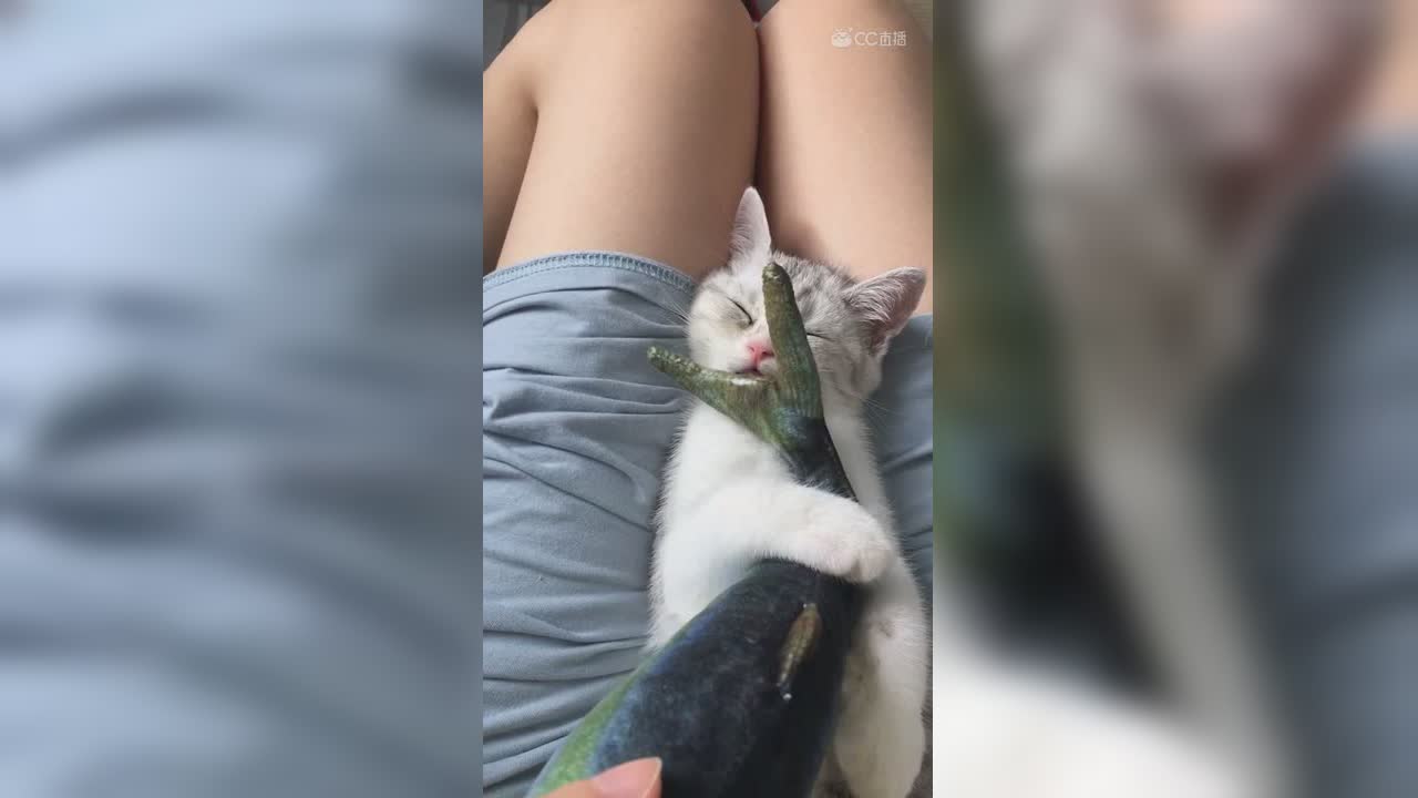 视频封面