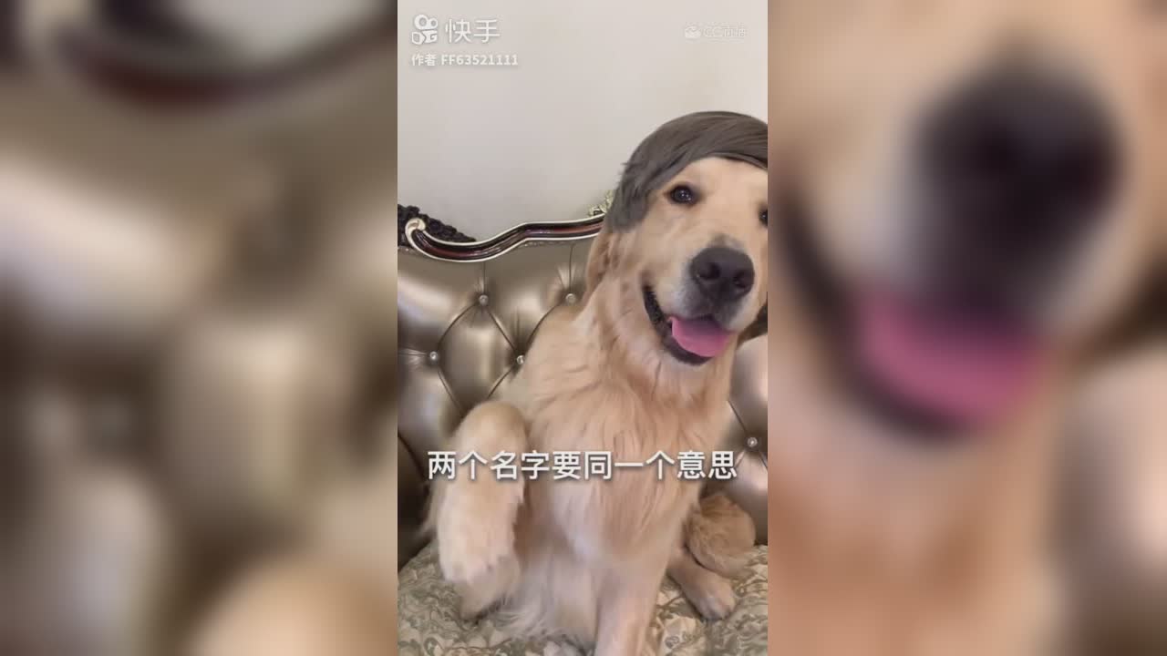 视频封面