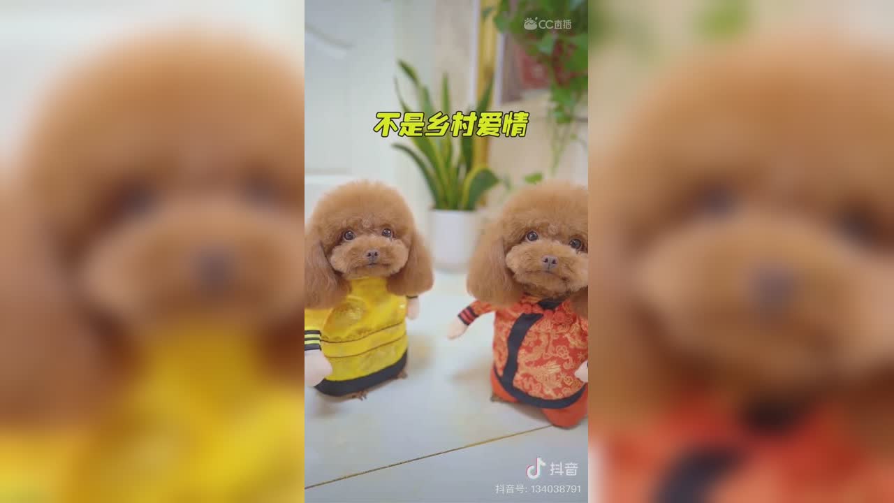 视频封面