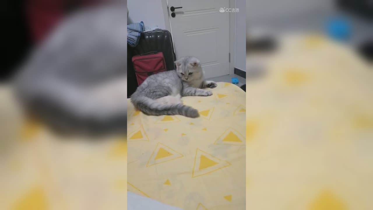 视频封面