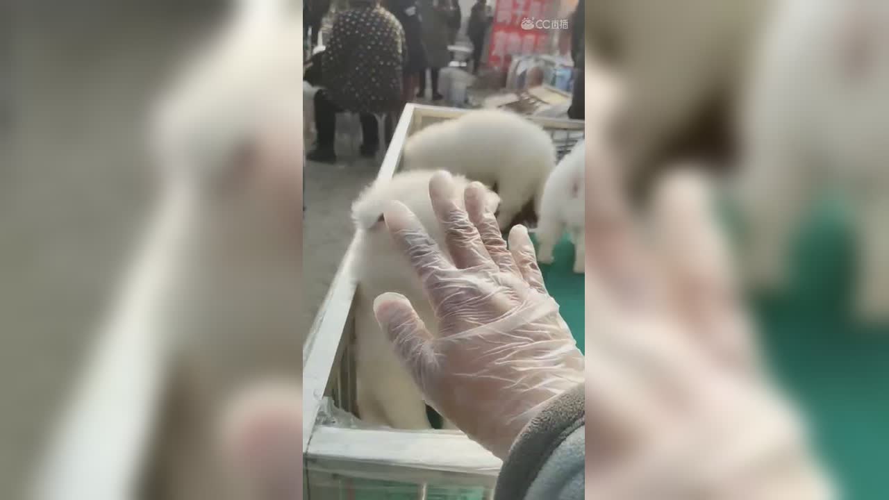 视频封面