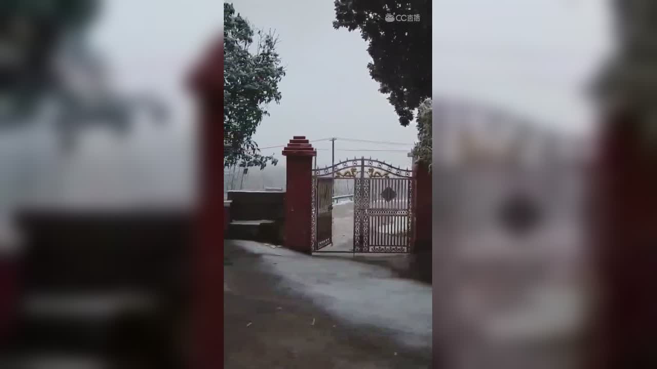 视频封面