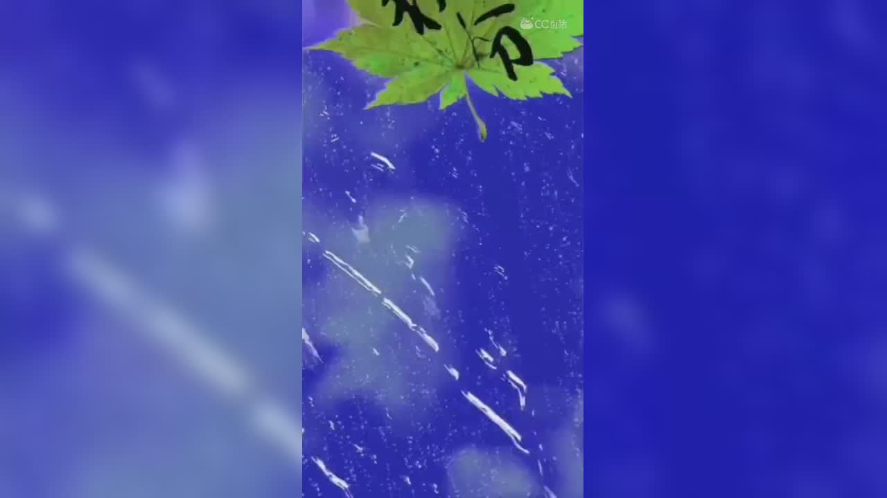视频封面