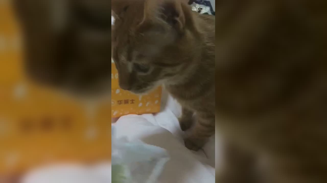 视频封面