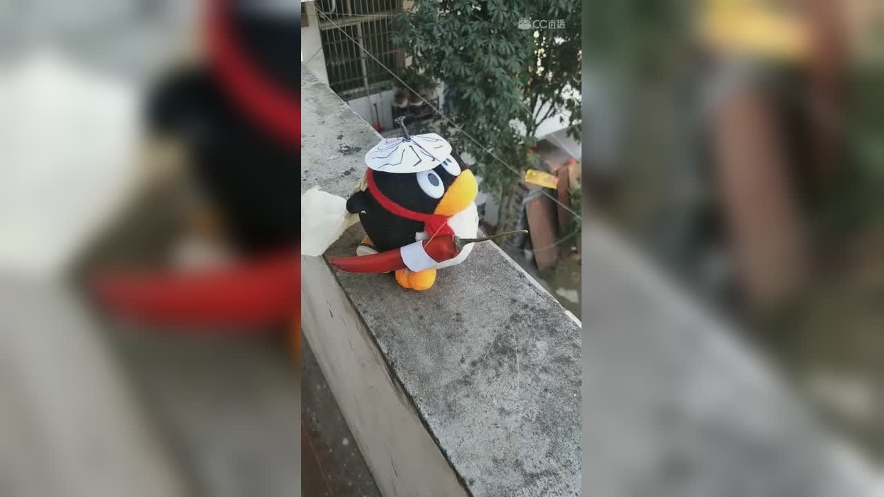 视频封面
