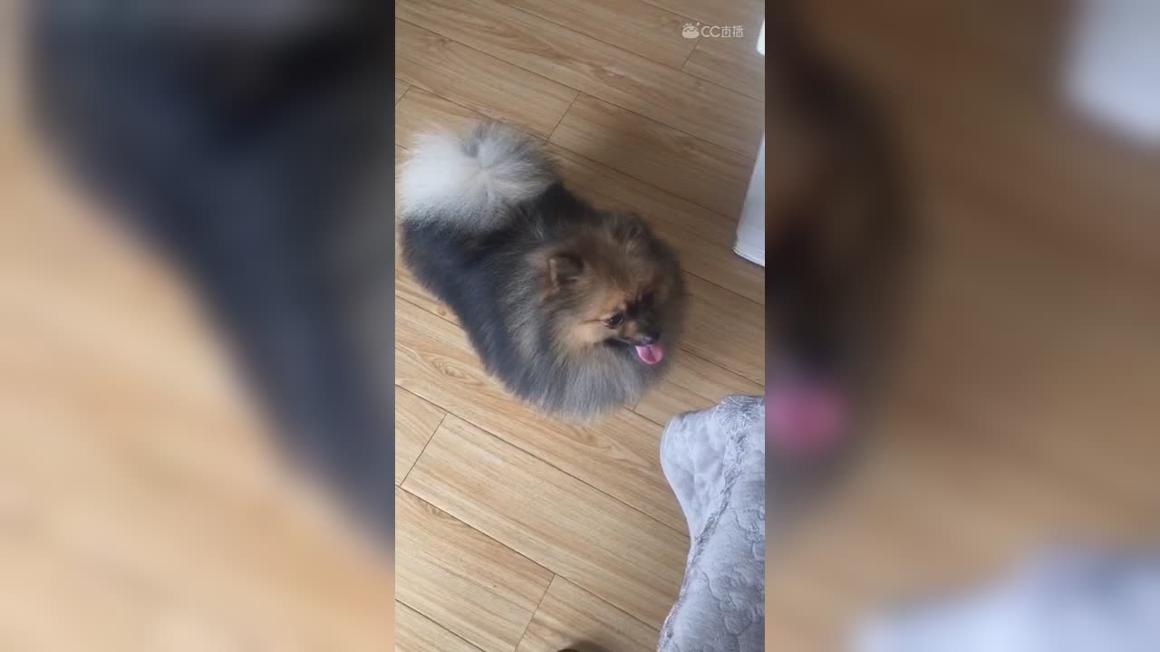 视频封面