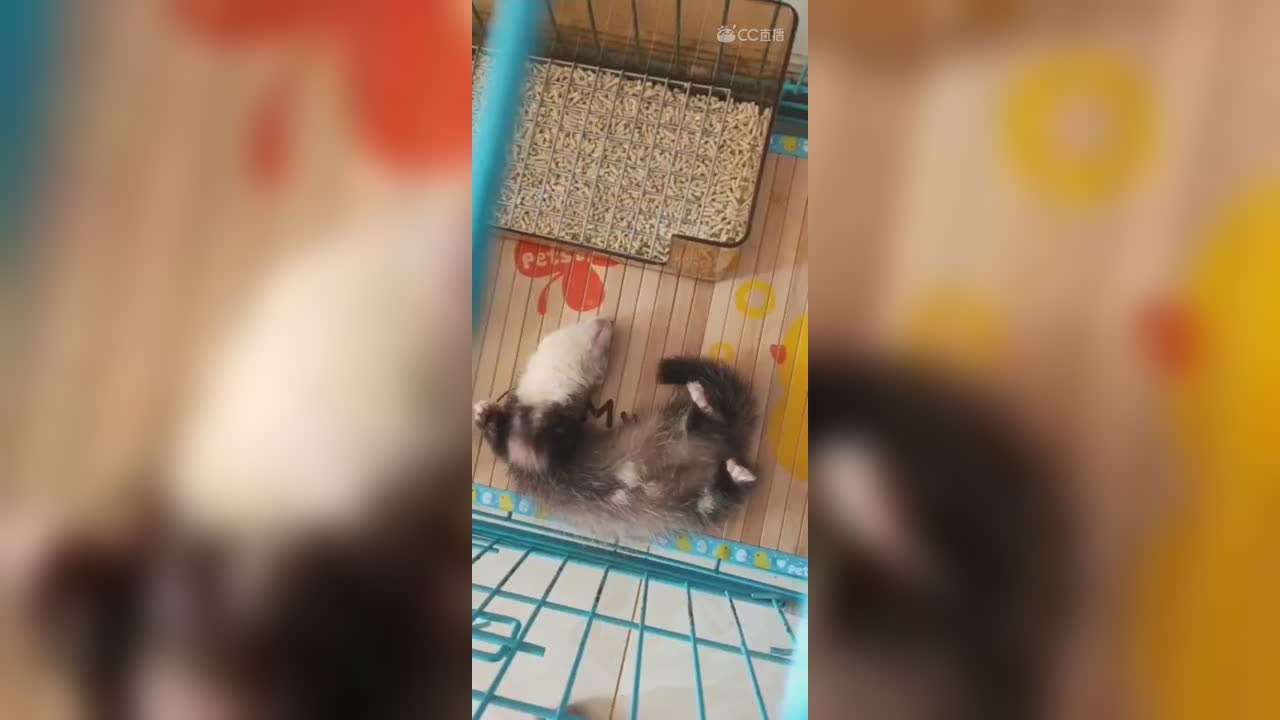 视频封面