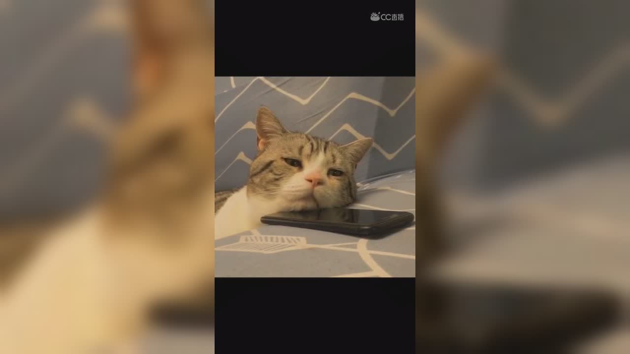 视频封面