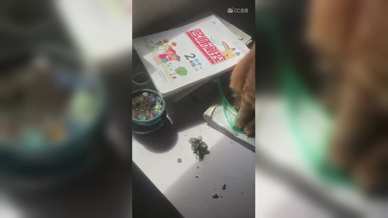 视频封面