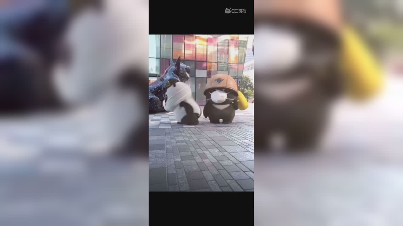 视频封面