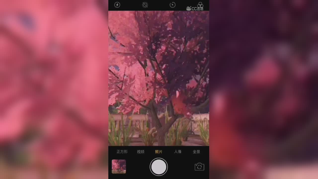 视频封面