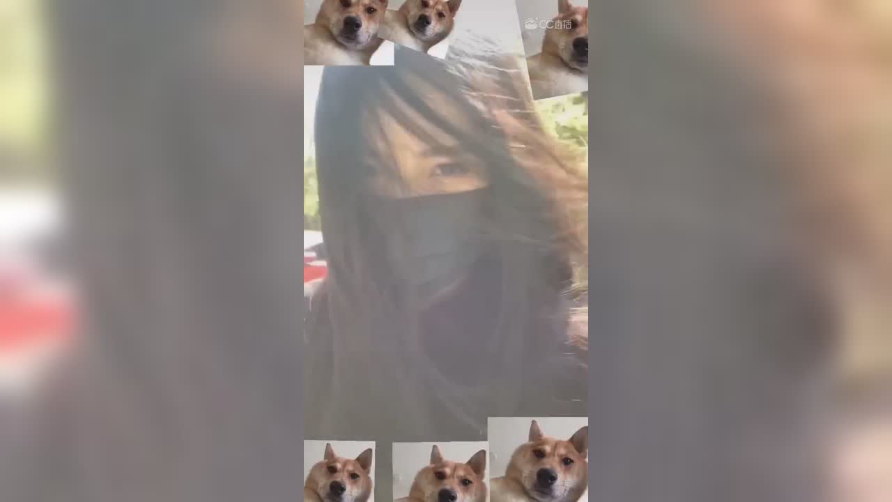 视频封面
