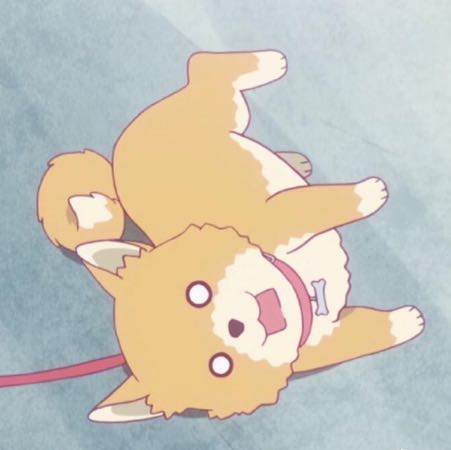 用户头像