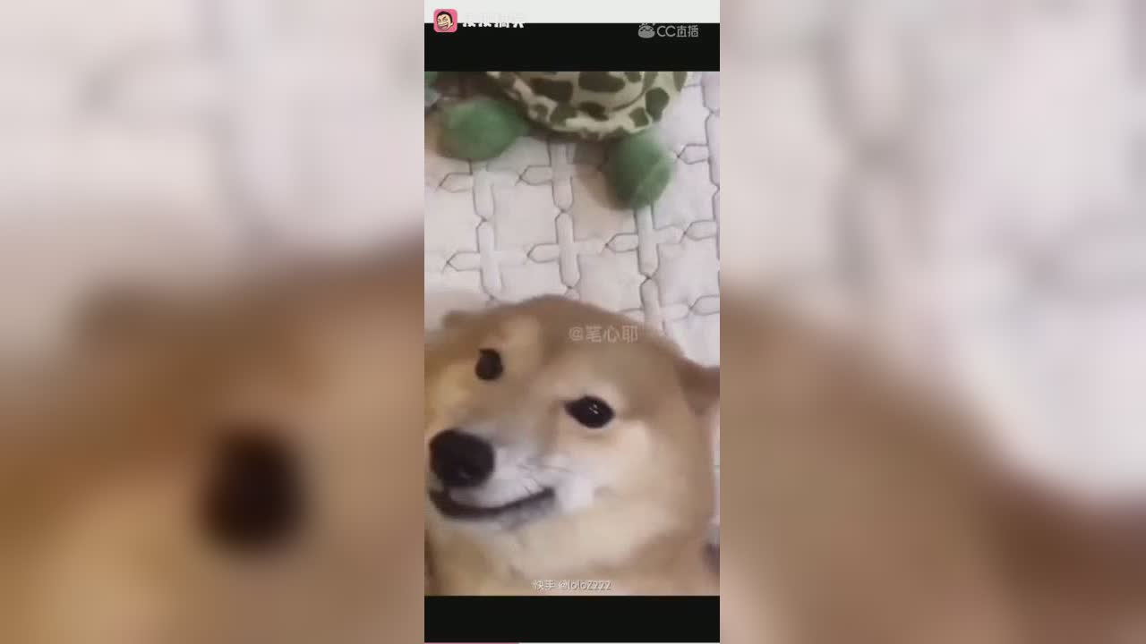 视频封面