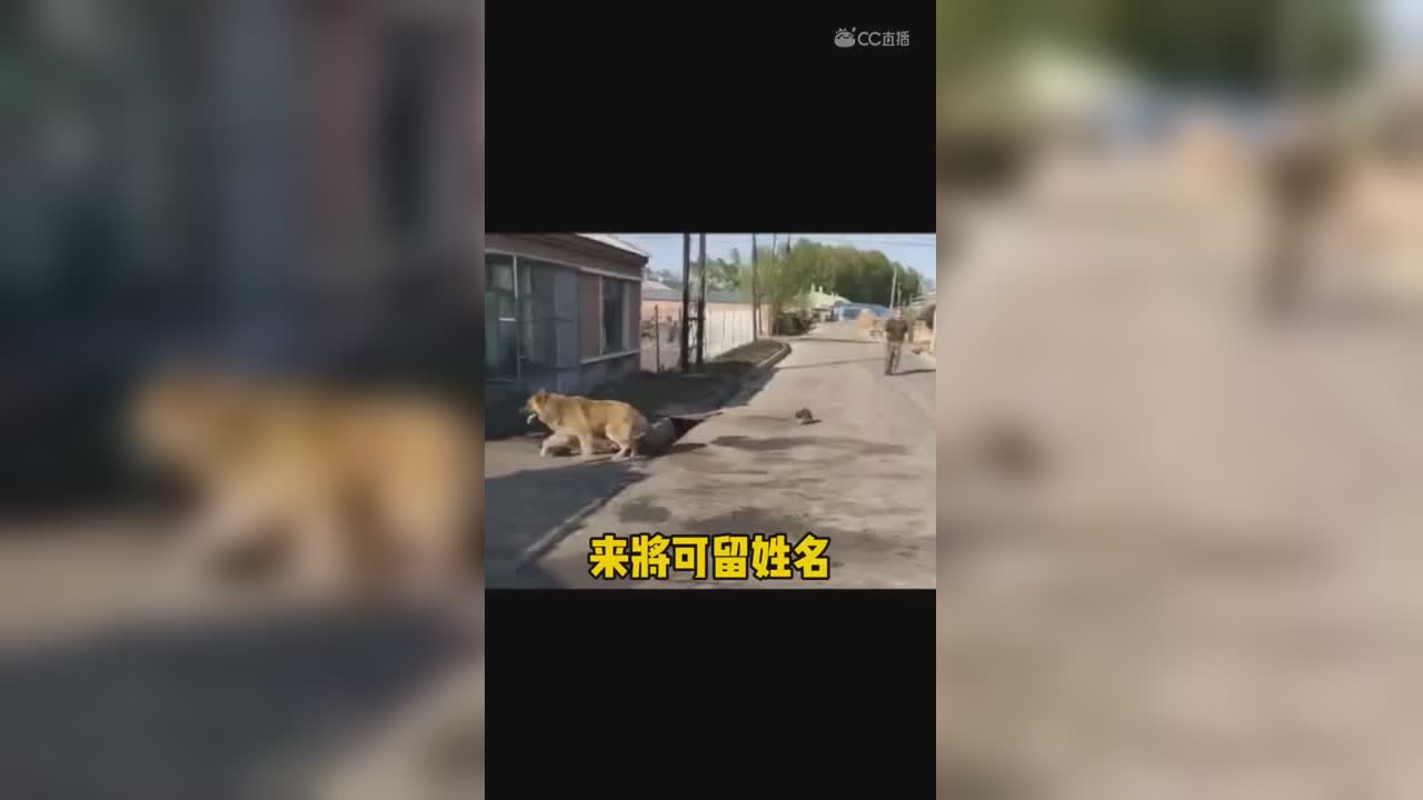 视频封面