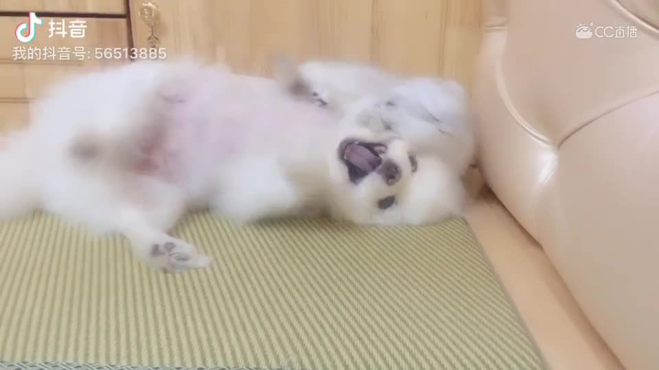 视频封面