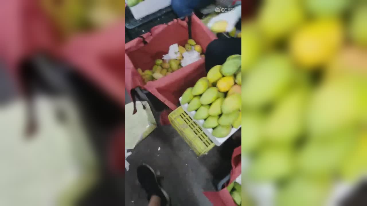 视频封面