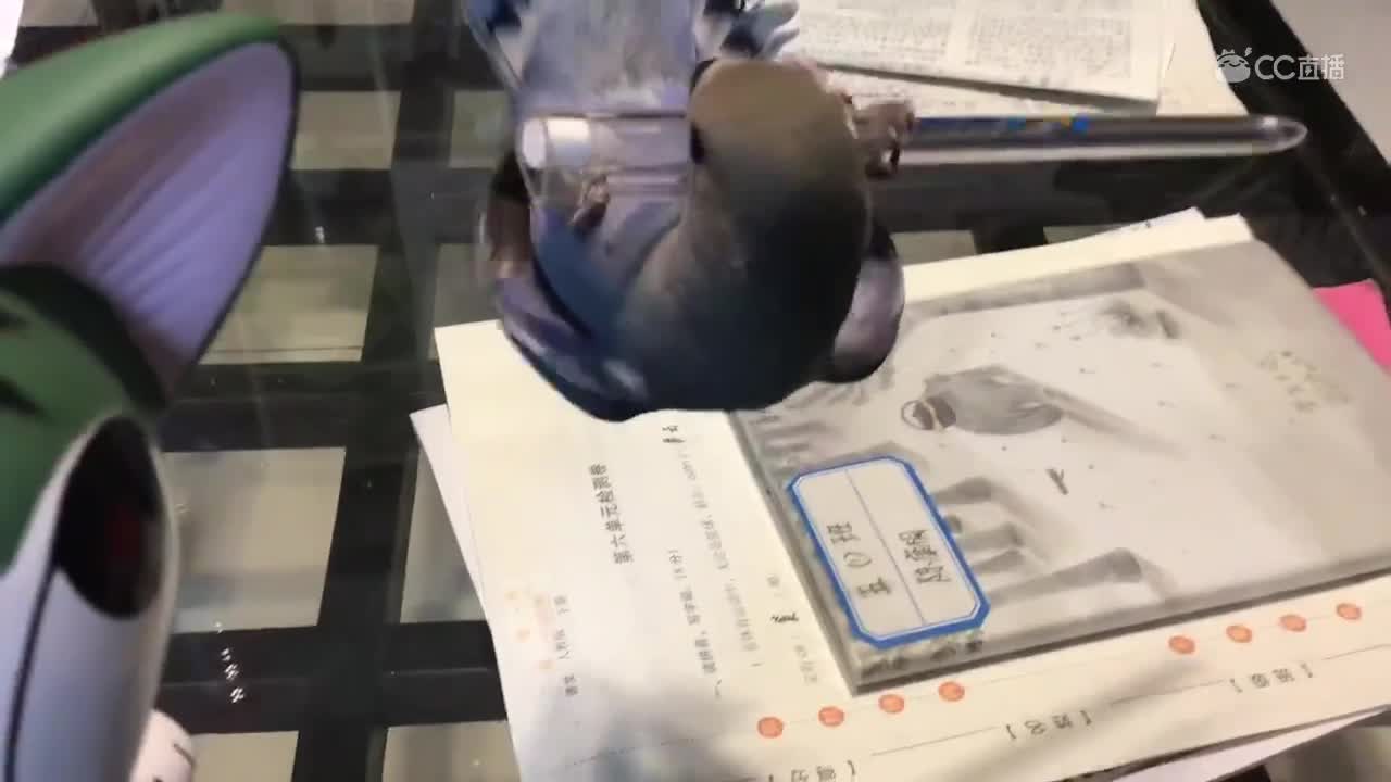 视频封面