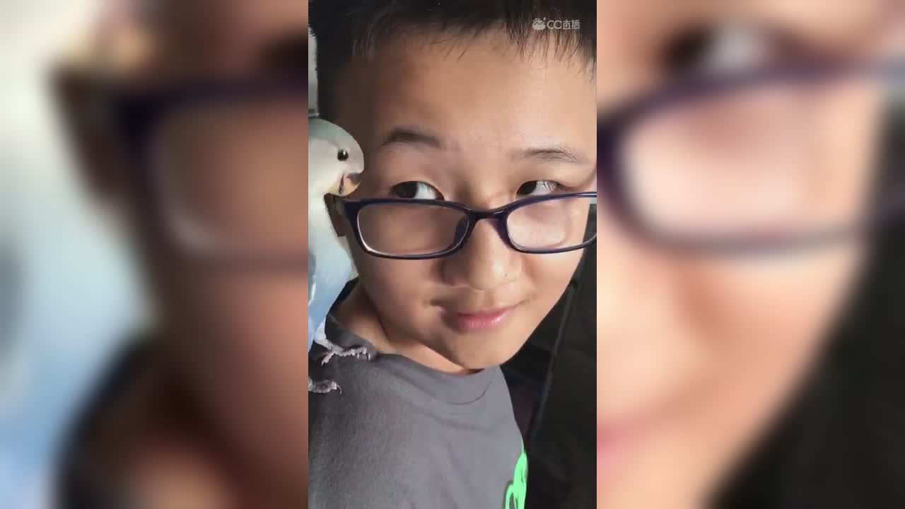 视频封面