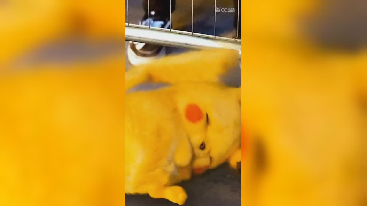 视频封面