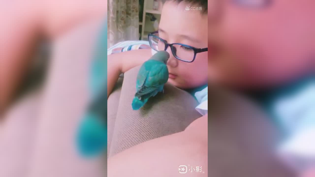 视频封面