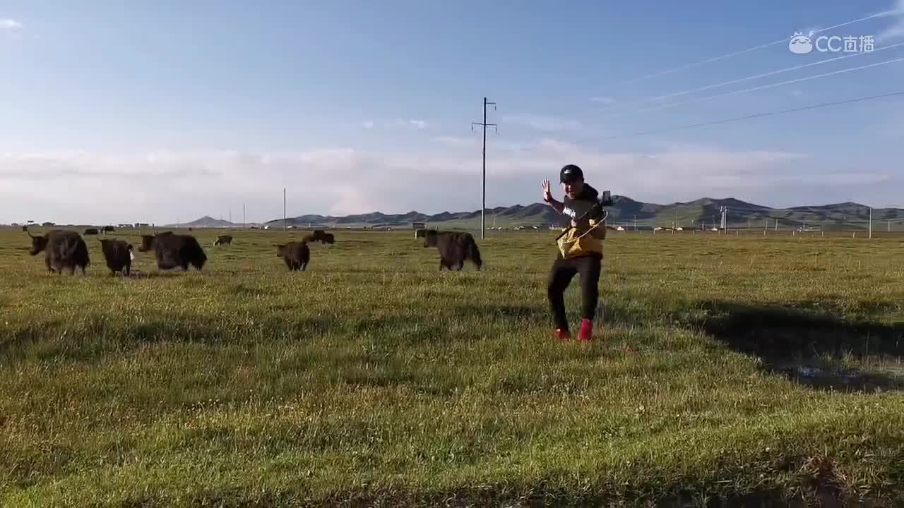 视频封面