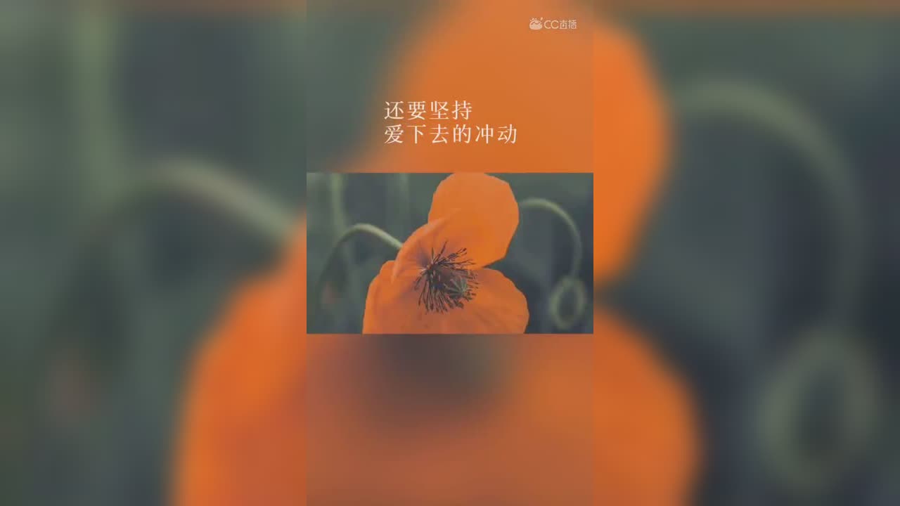 视频封面