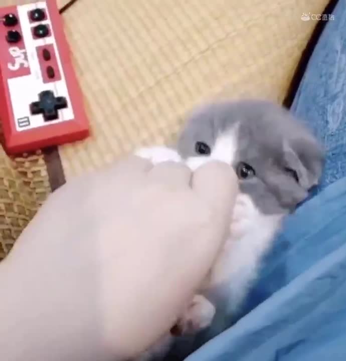 视频封面