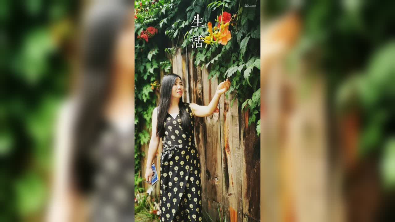 视频封面