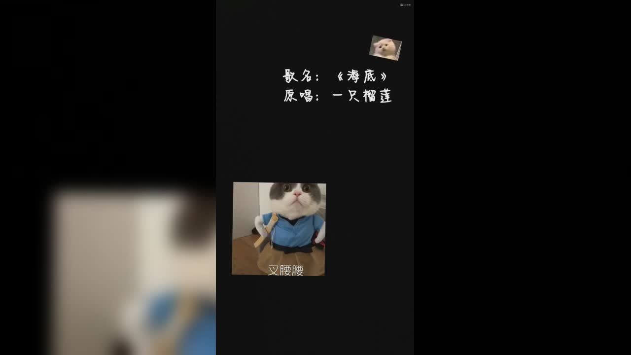 视频封面