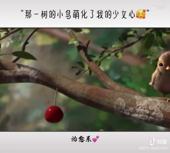 视频封面