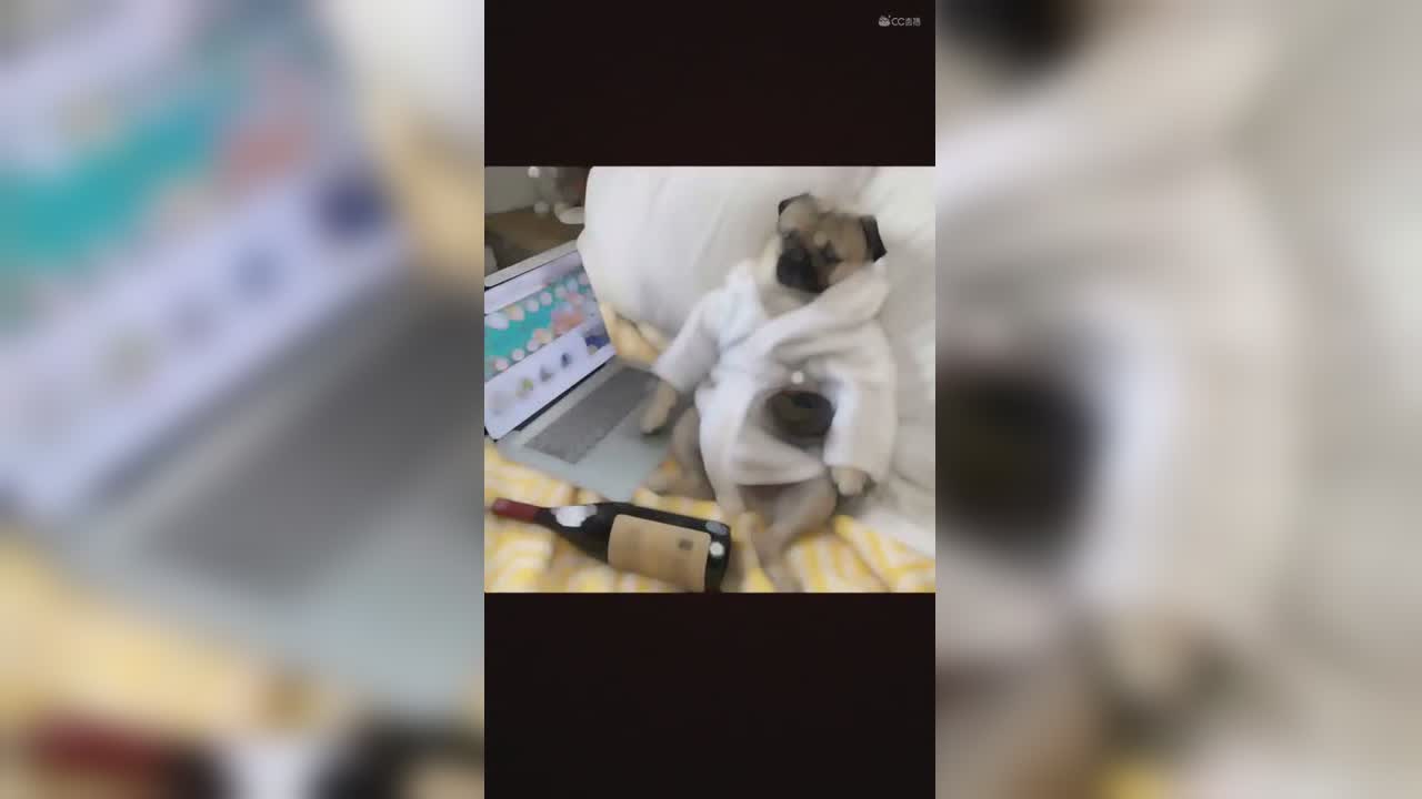 视频封面