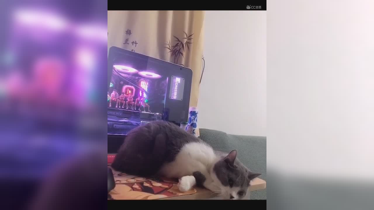 视频封面