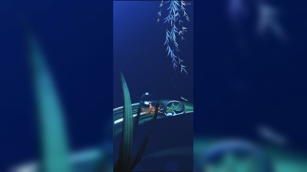 视频封面