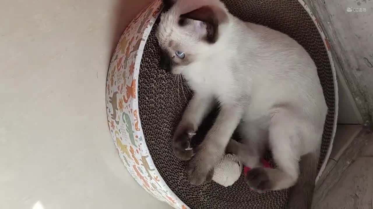 视频封面
