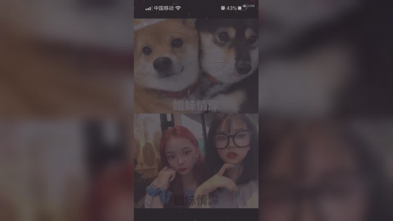 视频封面