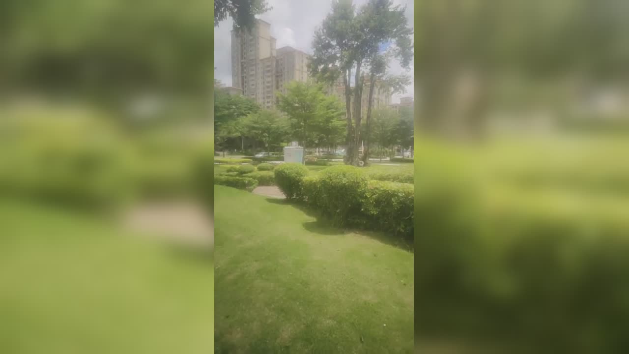 视频封面