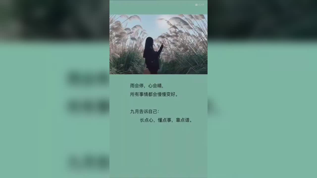 视频封面