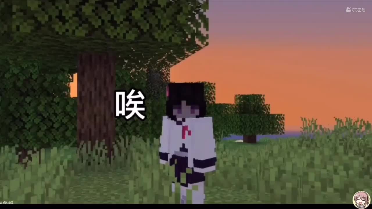 视频封面