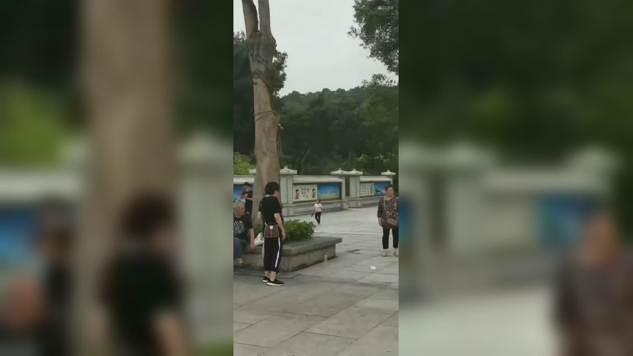 视频封面