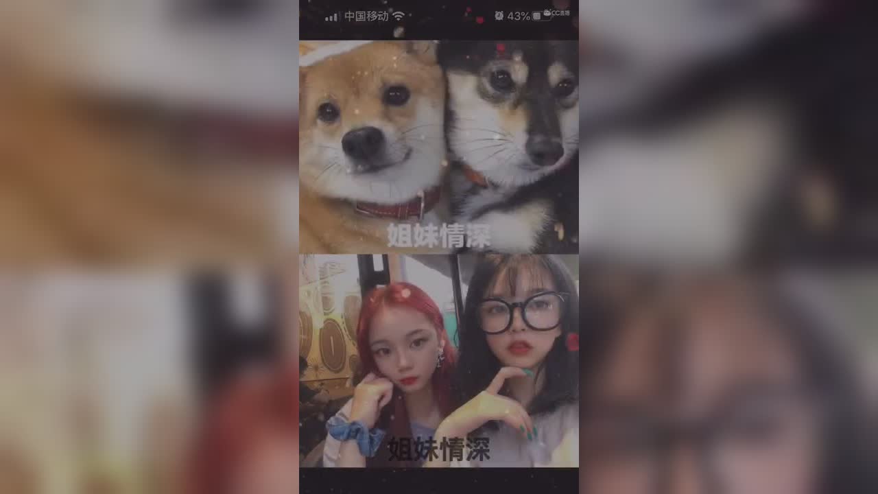 视频封面