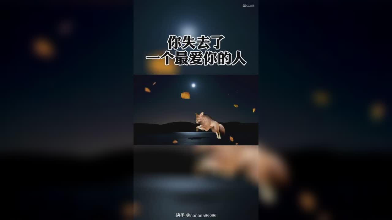 视频封面