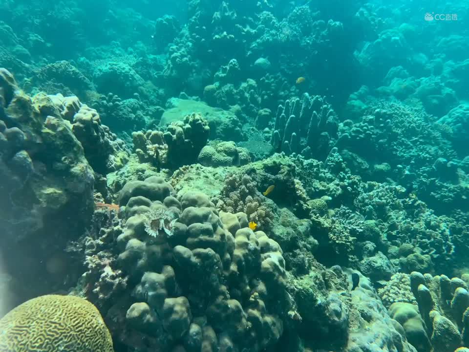 视频封面
