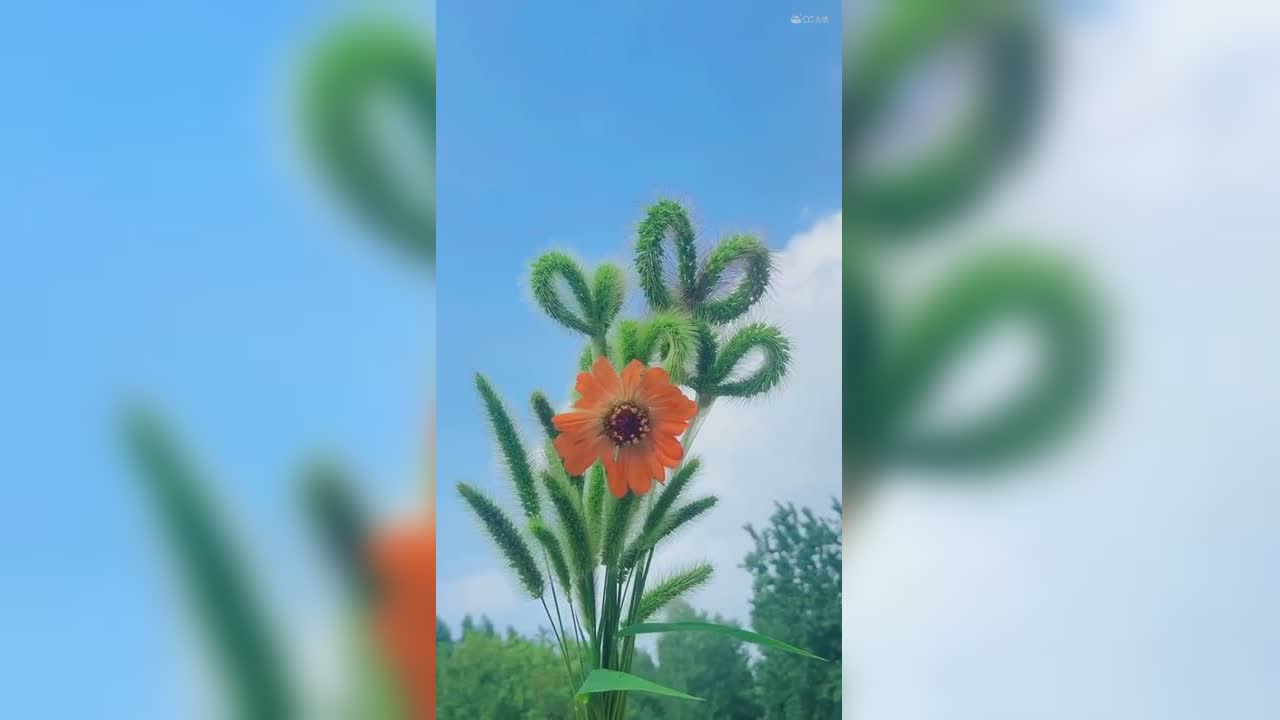 视频封面