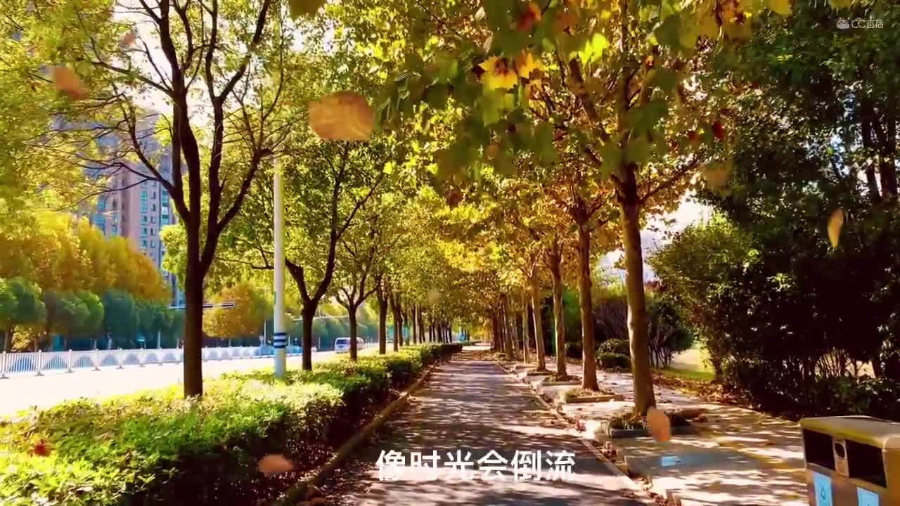 视频封面