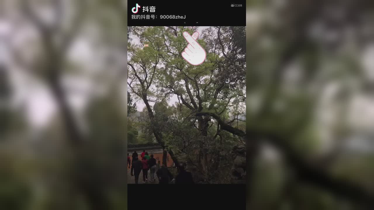 视频封面